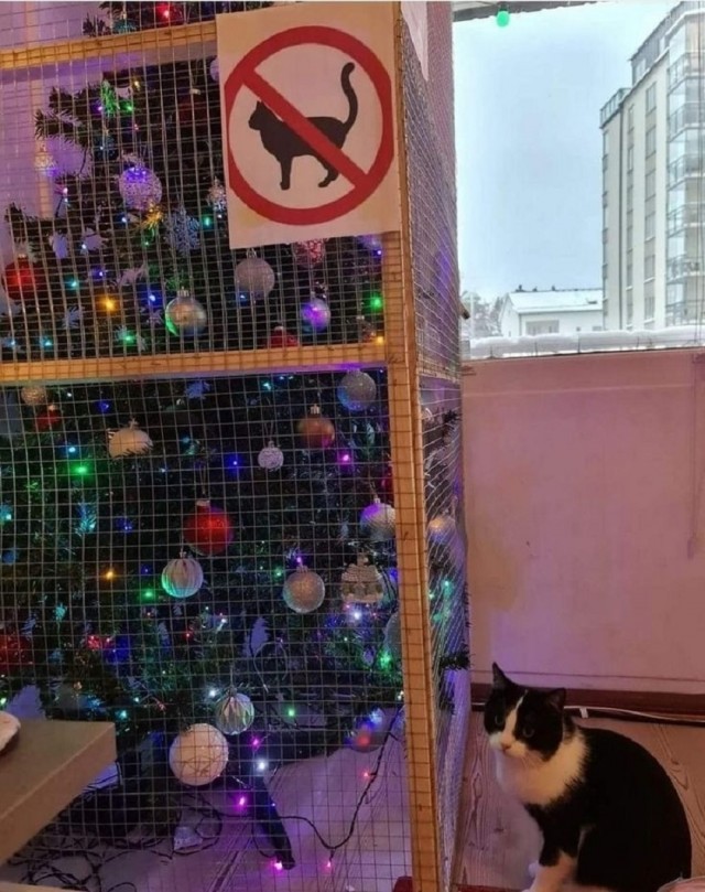Так себе картинки 27.12.25