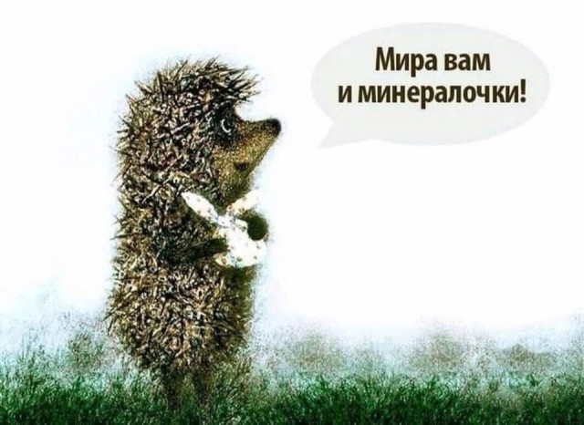Воскресные картинки