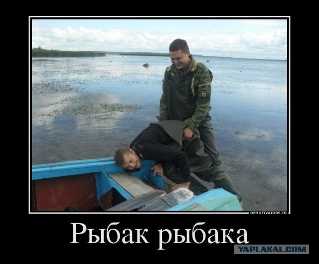 Милонов накрыл бордель с трансами* в Питере