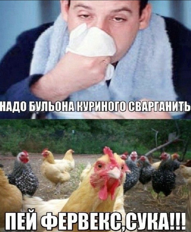 Смешные комментарии из социальных сетей 08.03.2026