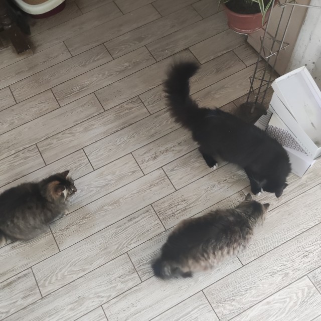 Ну был вторник, и чо?