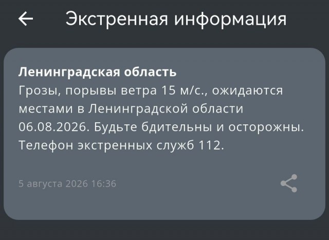 Грозы и ливни накроют Москву уже завтра