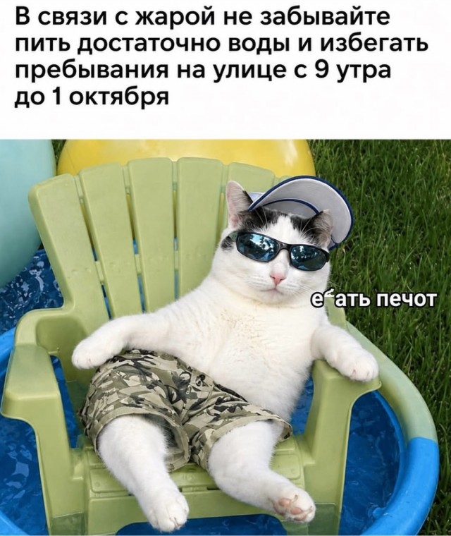 Веселое настроение в картинках 17.08.26