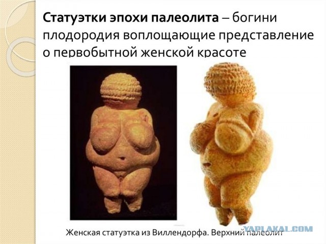 Какой тип фигуры вы предпочитаете?