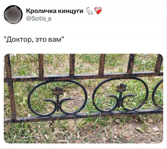 Веселые картинки в понедельник (21.09)