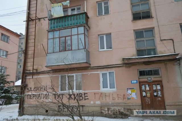 Фото дня