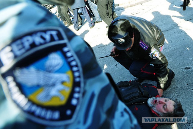 "Георгиевские " ленточки против флагов УПА