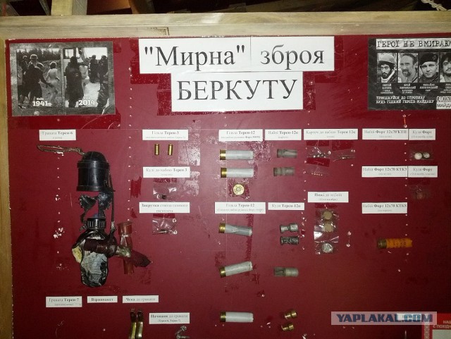 По кому стрелял "Беркут" / "Альфа"