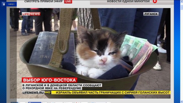 Подборка фото с референдума