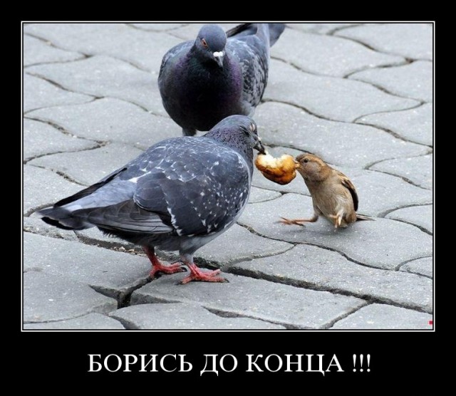 Смешные картинки