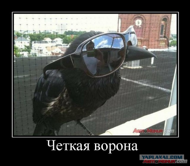 Немного позитива на пятницу