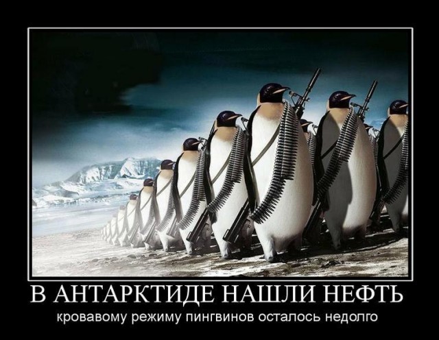 Глазами русско-американского Морпеха США