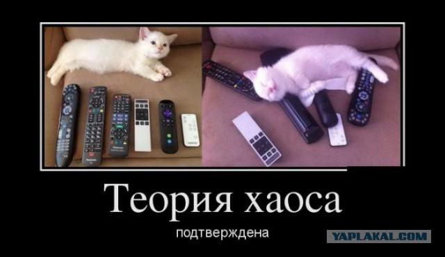 Весёлые картинки