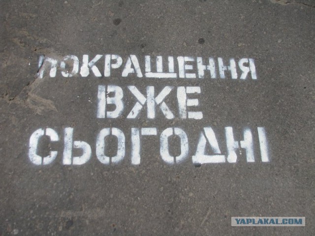 Гривна думала, что это дно