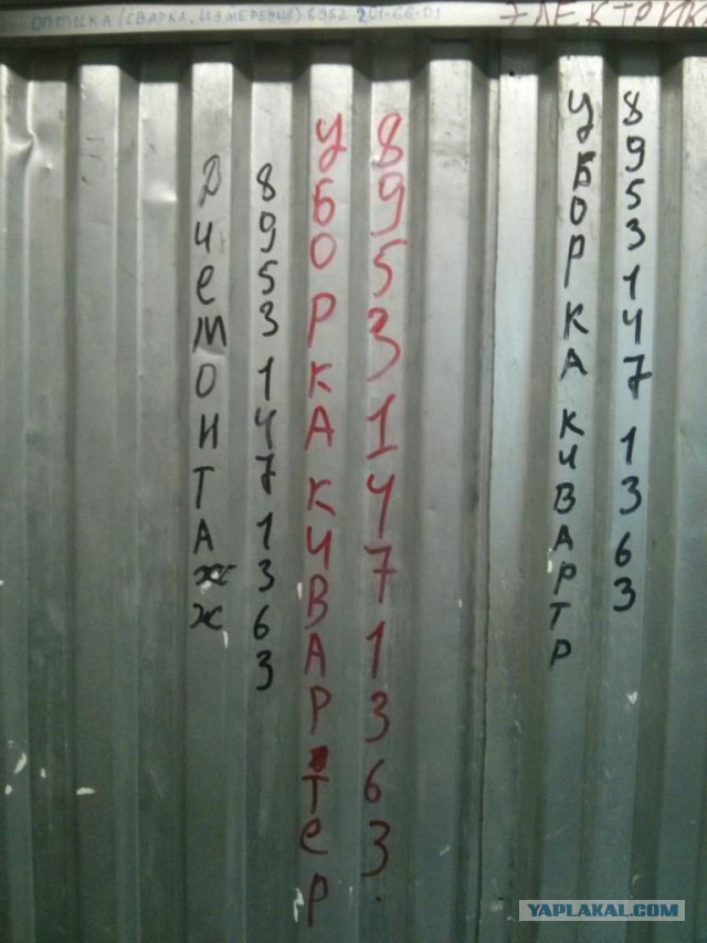 Казусы жизни