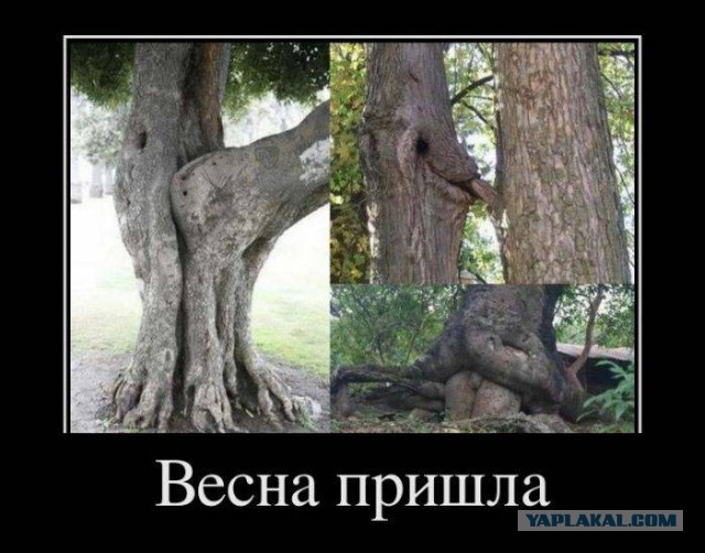 Веселости которые встретились сегодня