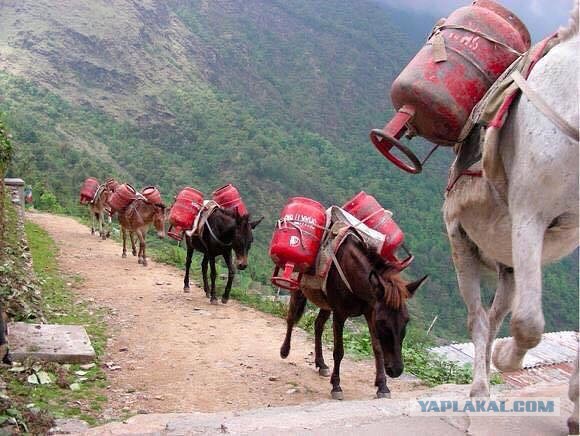 Реверс газа на Украину