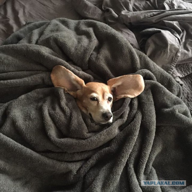 Прикольные картинки для вас!