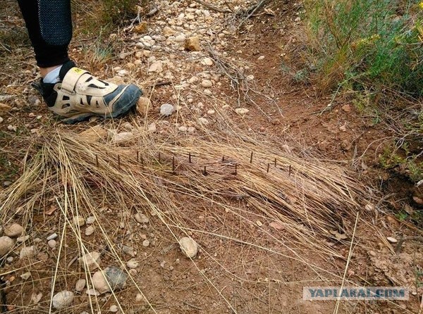 Ловушка для велосипедистов