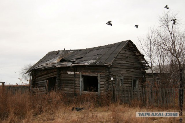 Главное стабильность, чтобы ничего не менялось