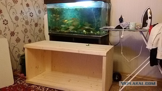 Аквариум моей мечты