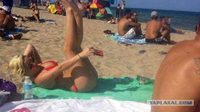 Картинки из сети