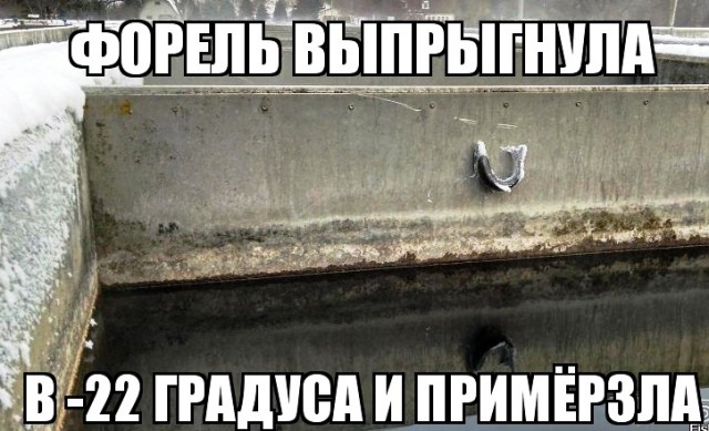 Любопытное в нашей жизни. Часть 2