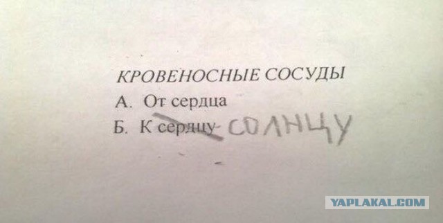 Забавные объявления