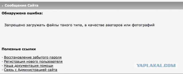 Яповцы, оновогоживайтесь!