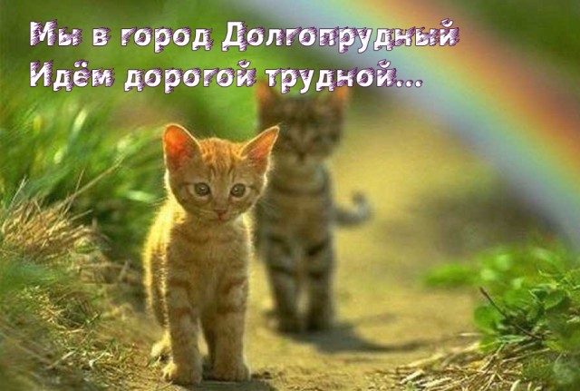Долгопрудный (фото)