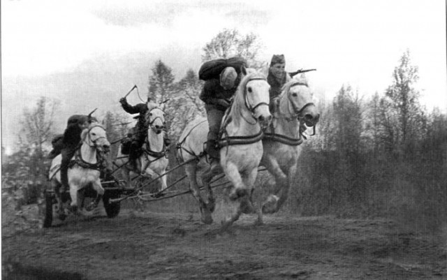 Тесово - Нетыльский. Реконструкция боя в 2017 году.