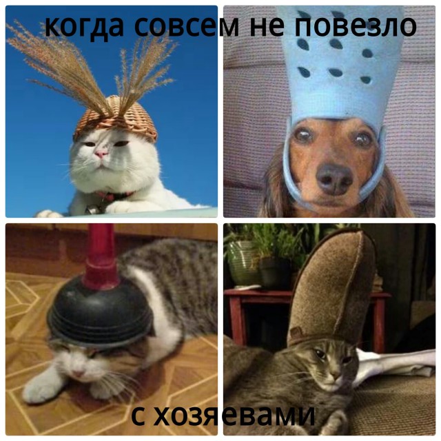 Соцсети - и смех и грех