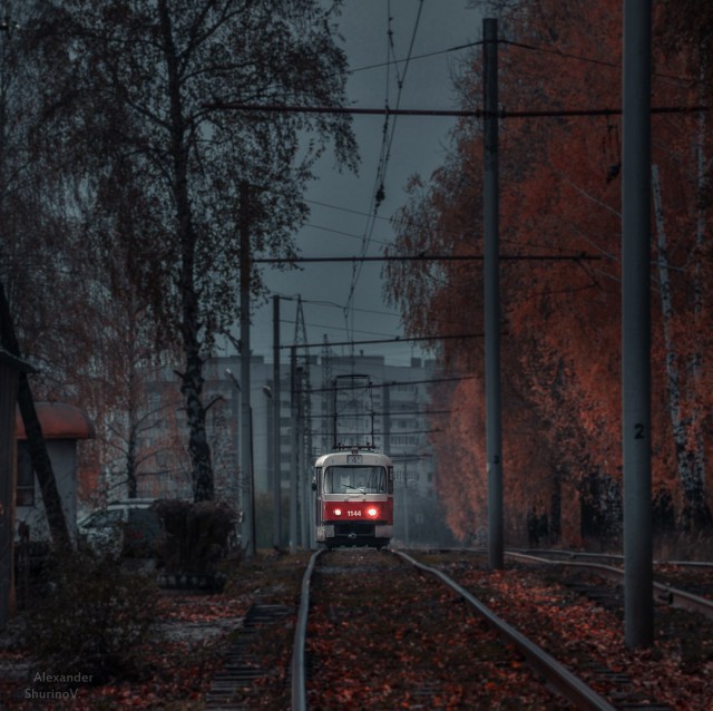 Картинок всяких