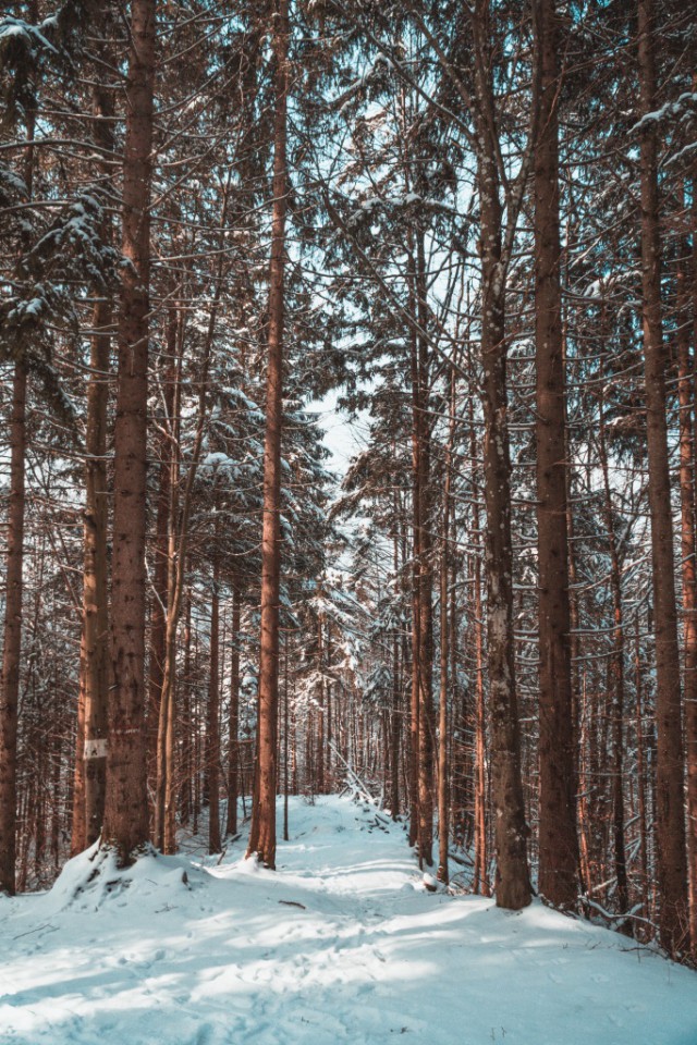 Нойшванштайн