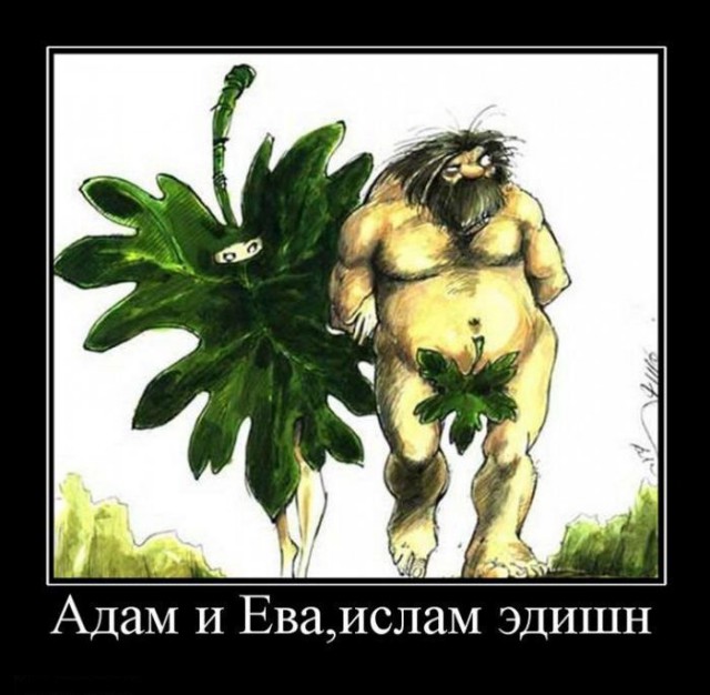 Из инэта, всякое