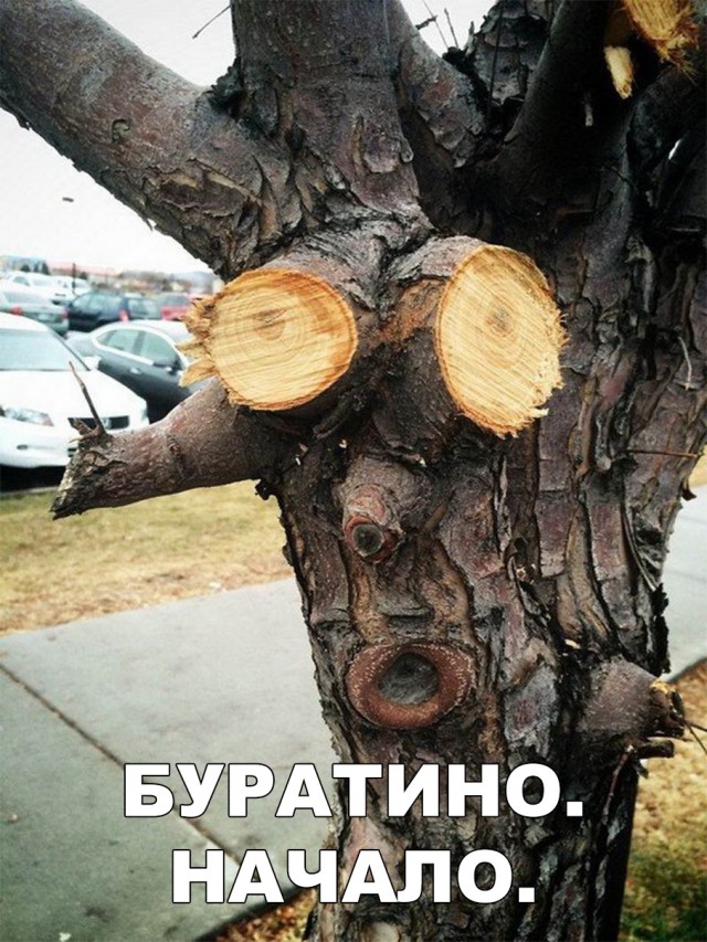 Нестандартный юмор