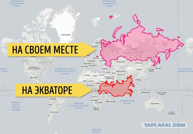 Внимание: вопрос