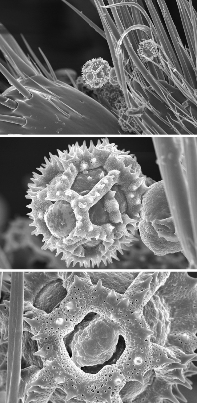 Фото от людей, которые смогли бы сделать интересными даже школьные учебники