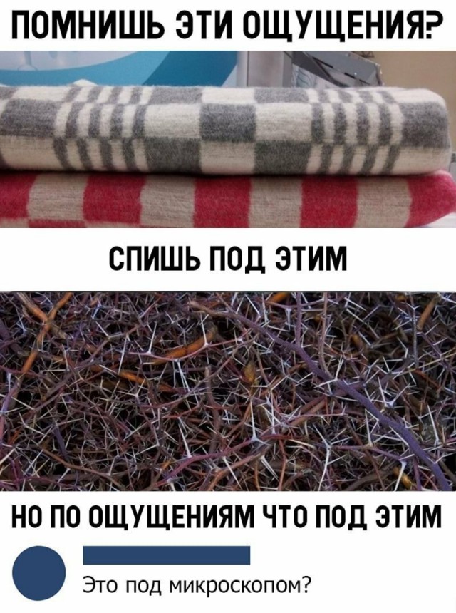 Забавные комментарии из социальных сетей