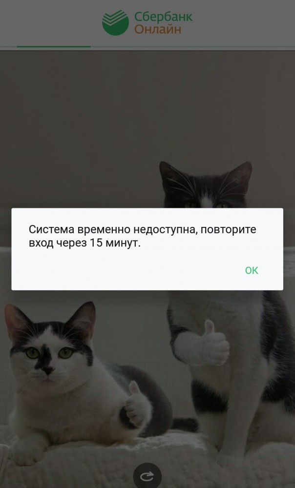 Снова сбои «Сбербанк.Онлайн» по всей России