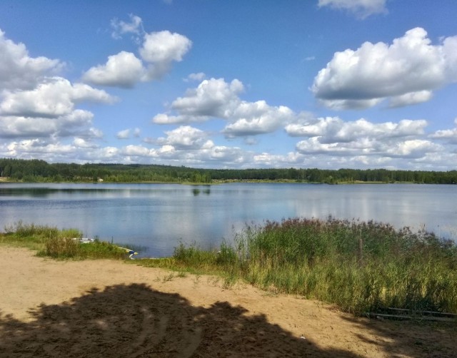 Сам себе фотограф