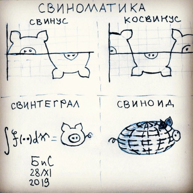 Немного картинок для настроения 06.12.19