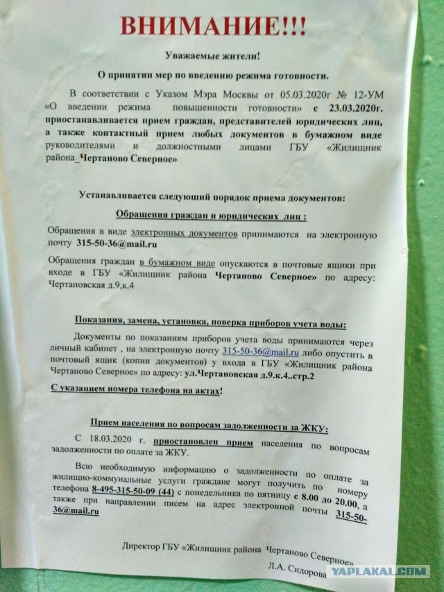Путин объявил следующую неделю НЕрабочей