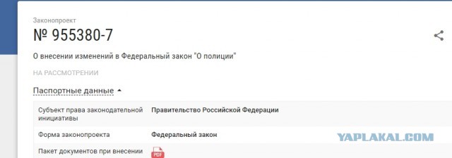 Правительство внесло в Думу законопроект о расширении прав полицейских