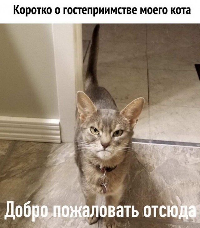 Бредзона 15.05.20