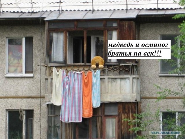 Конкурс: подпись к картинке