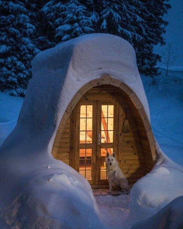 Снежные чудеса, которые редко увидишь