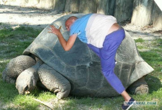 Фотожаба: ...как будто он не пьяный