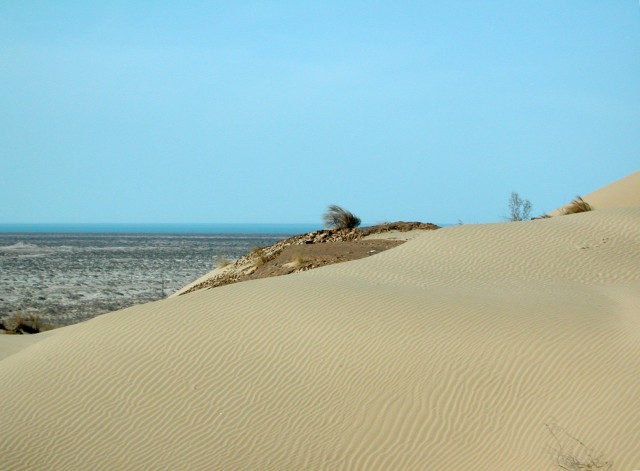 Красота пустыни