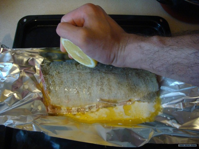 Все из рыбы!